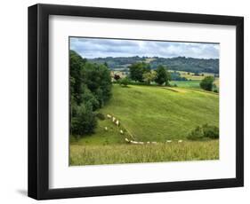 Pastoral Countryside V-Colby Chester-Framed Photographic Print