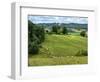 Pastoral Countryside V-Colby Chester-Framed Photographic Print