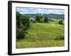 Pastoral Countryside V-Colby Chester-Framed Photographic Print