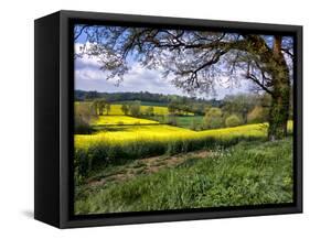 Pastoral Countryside XIV-Colby Chester-Framed Stretched Canvas