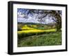 Pastoral Countryside XIV-Colby Chester-Framed Photographic Print