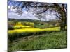 Pastoral Countryside XIV-Colby Chester-Mounted Photographic Print