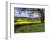 Pastoral Countryside XIV-Colby Chester-Framed Photographic Print