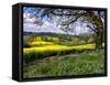 Pastoral Countryside XIV-Colby Chester-Framed Stretched Canvas