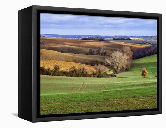 Pastoral Countryside XVII-Colby Chester-Framed Stretched Canvas