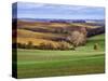 Pastoral Countryside XVII-Colby Chester-Stretched Canvas