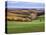 Pastoral Countryside XVII-Colby Chester-Stretched Canvas