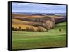 Pastoral Countryside XVII-Colby Chester-Framed Stretched Canvas