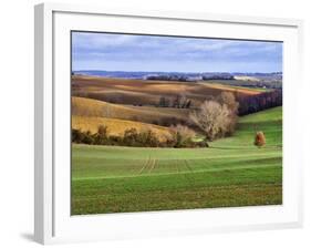 Pastoral Countryside XVII-Colby Chester-Framed Photographic Print