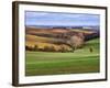 Pastoral Countryside XVII-Colby Chester-Framed Photographic Print