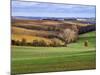 Pastoral Countryside XVII-Colby Chester-Mounted Photographic Print