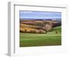 Pastoral Countryside XVII-Colby Chester-Framed Photographic Print