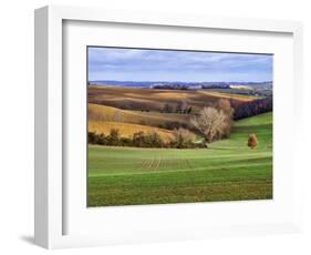 Pastoral Countryside XVII-Colby Chester-Framed Photographic Print