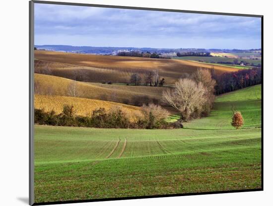 Pastoral Countryside XVII-Colby Chester-Mounted Photographic Print