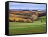 Pastoral Countryside XVII-Colby Chester-Framed Stretched Canvas