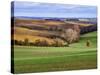 Pastoral Countryside XVII-Colby Chester-Stretched Canvas