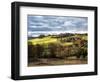 Pastoral Countryside XVIII-Colby Chester-Framed Photographic Print