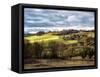 Pastoral Countryside XVIII-Colby Chester-Framed Stretched Canvas