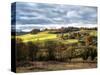 Pastoral Countryside XVIII-Colby Chester-Stretched Canvas