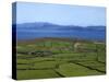 Pastoral Countyside Near Bulls Head Overlooking Dingle Bay And the Distant Ring of Kerry-null-Stretched Canvas