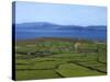 Pastoral Countyside Near Bulls Head Overlooking Dingle Bay And the Distant Ring of Kerry-null-Stretched Canvas