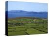 Pastoral Countyside Near Bulls Head Overlooking Dingle Bay And the Distant Ring of Kerry-null-Stretched Canvas