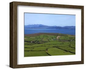 Pastoral Countyside Near Bulls Head Overlooking Dingle Bay And the Distant Ring of Kerry-null-Framed Photographic Print