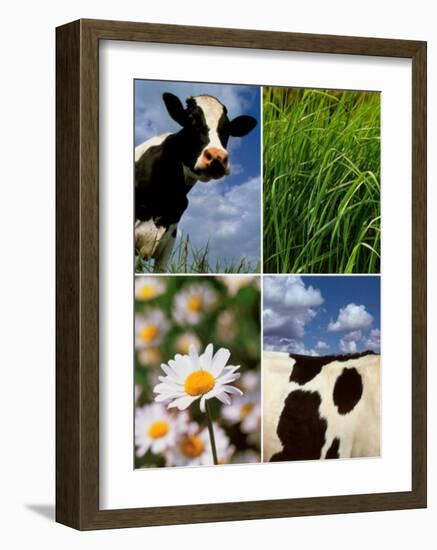 Pastoral Cow-Panais & Morcime Dumoulin-Framed Art Print