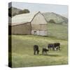 Pastoral - Favourite Field-Mark Chandon-Stretched Canvas