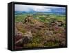 Pastoral Fields from Above Coumshingaun Lake, Comeragh Mountains, County Waterford, Ireland-null-Framed Stretched Canvas