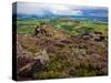 Pastoral Fields from Above Coumshingaun Lake, Comeragh Mountains, County Waterford, Ireland-null-Stretched Canvas
