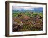 Pastoral Fields from Above Coumshingaun Lake, Comeragh Mountains, County Waterford, Ireland-null-Framed Photographic Print