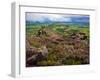 Pastoral Fields from Above Coumshingaun Lake, Comeragh Mountains, County Waterford, Ireland-null-Framed Photographic Print