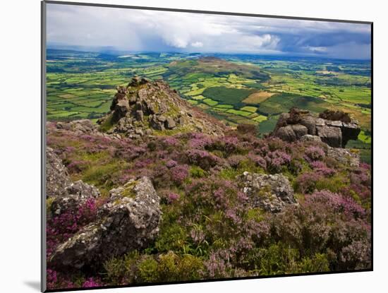 Pastoral Fields from Above Coumshingaun Lake, Comeragh Mountains, County Waterford, Ireland-null-Mounted Photographic Print