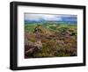 Pastoral Fields from Above Coumshingaun Lake, Comeragh Mountains, County Waterford, Ireland-null-Framed Photographic Print