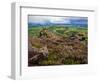 Pastoral Fields from Above Coumshingaun Lake, Comeragh Mountains, County Waterford, Ireland-null-Framed Photographic Print