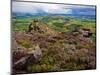 Pastoral Fields from Above Coumshingaun Lake, Comeragh Mountains, County Waterford, Ireland-null-Mounted Photographic Print