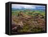 Pastoral Fields from Above Coumshingaun Lake, Comeragh Mountains, County Waterford, Ireland-null-Framed Stretched Canvas