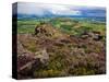 Pastoral Fields from Above Coumshingaun Lake, Comeragh Mountains, County Waterford, Ireland-null-Stretched Canvas