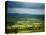 Pastoral Fields, Near Clonea, County Waterford, Ireland-null-Stretched Canvas