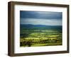 Pastoral Fields, Near Clonea, County Waterford, Ireland-null-Framed Photographic Print