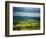 Pastoral Fields, Near Clonea, County Waterford, Ireland-null-Framed Photographic Print