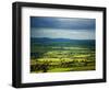 Pastoral Fields, Near Clonea, County Waterford, Ireland-null-Framed Photographic Print