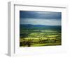 Pastoral Fields, Near Clonea, County Waterford, Ireland-null-Framed Photographic Print