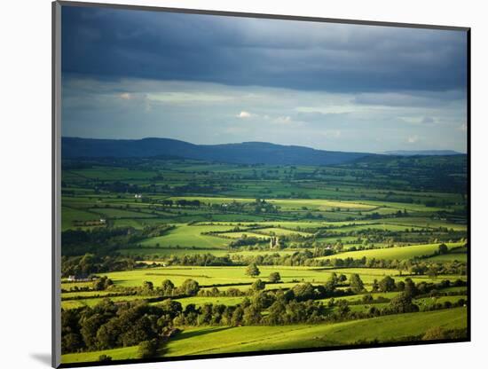 Pastoral Fields, Near Clonea, County Waterford, Ireland-null-Mounted Photographic Print