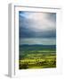 Pastoral Fields, Near Clonnee, County Waterford, Ireland-null-Framed Photographic Print