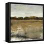 Pastoral I-Tim O'toole-Framed Stretched Canvas