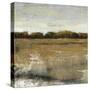 Pastoral I-Tim O'toole-Stretched Canvas