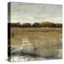 Pastoral I-Tim O'toole-Stretched Canvas