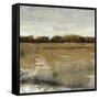 Pastoral I-Tim O'toole-Framed Stretched Canvas